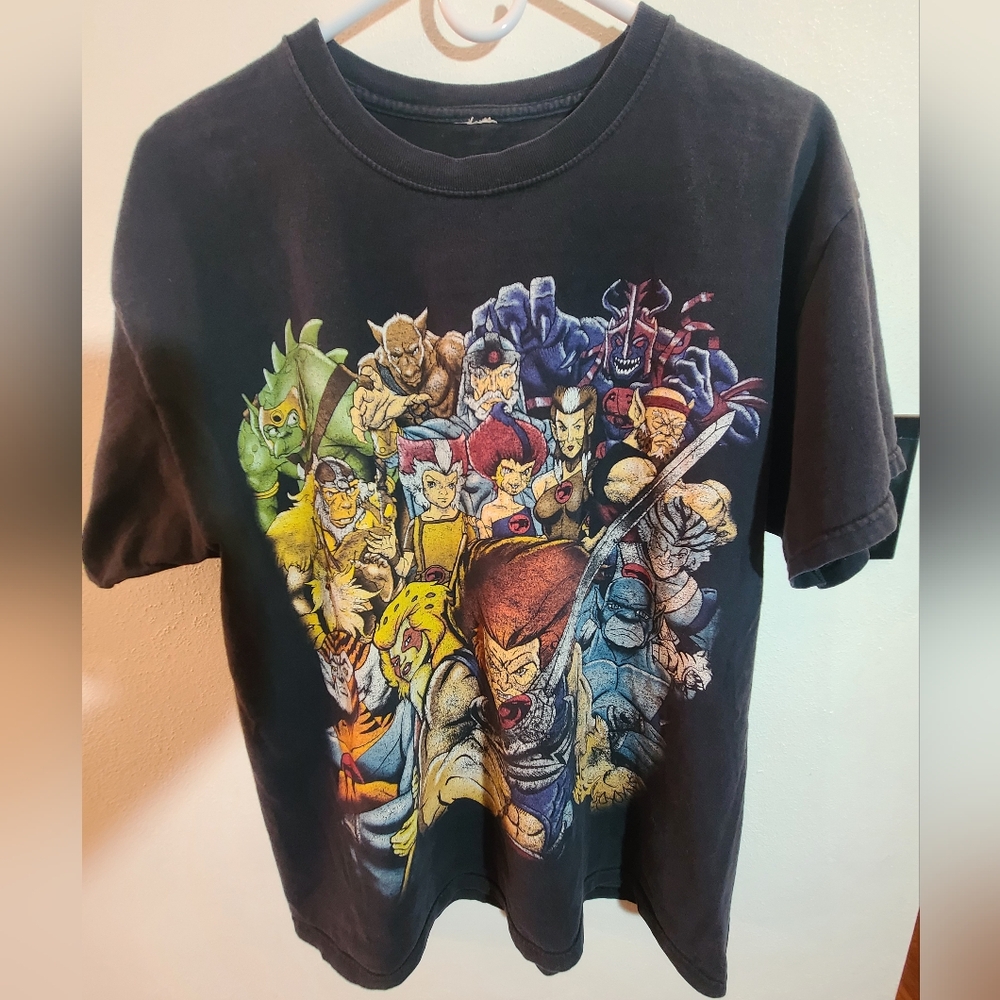 Jerzees brand 90s Thundercats tshirt. Size Large